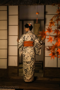 Путешествие в Японию