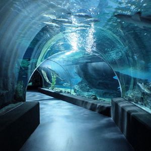 В океанариум