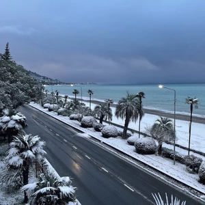 нью стэйдж эгэн