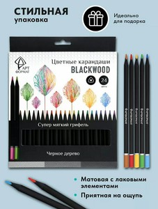 Набор карандашей Артформат blackwood