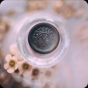 Тени Tammy Tanuka