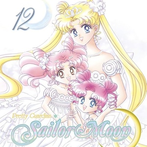 Pretty Guardian Sailor Moon: Volume 12