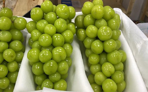 Виноград шайн мускат