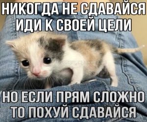 Год тупости, слабости и скуки