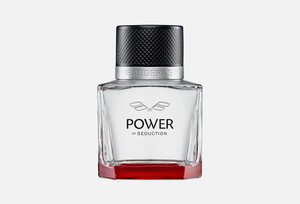 BANDERAS POWER OF SEDUCTION