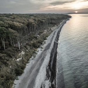 gespensterwald, nienhagen, germany