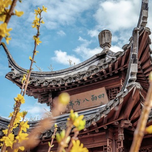 chinesischer garten, stuttgart, germany