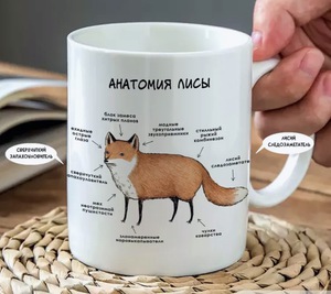 Кружка «Анатомия лисы»