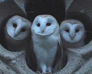 Лекции от Константина Михайлова