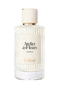 Chloe Cedrus