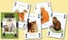 Коллекционные игральные карты - Кошки
