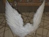 Мечта - Крылышки настоящие из перьев
