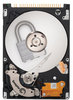 Seagate Barracuda на 80 Гб