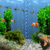 Анимационную заставку в виде рыбок на компутер