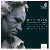 Beethoven - Violin sonatas - Staier/Sepec