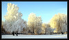 солнечное зимнее утро
