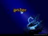 Компьютерную игрушку "Harry Potter 2: The Chamber of Secrets"