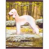Bedlington Terrier Champions, 2000-2005 by Jan Linzy, Sharae Pata