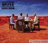 Muse