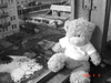 А если проще... то хочу медведа. Белого, не обязательно пушистого.