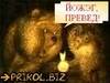 Чтобы друзья не обижались на меня)когда я нехорошая!