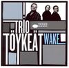 Trio T&#246;yke&#228;t  "Wake"