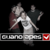 Guano Apes live @ Moscow ticket