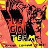 The go! team