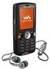 Sony Ericsson W810i