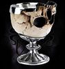 Alchemy Gothic: Lord Byron Goblet