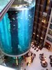 AquaDom, the world's largest cylindrical aquarium