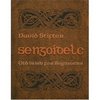 Sengoidelc: Old Irish for Beginners