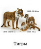 Хочу большого игрушечного тигра