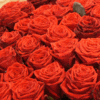 Хочу на день рождения большой букет роз...