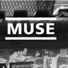 концерт muse