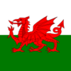 Флаг Уэльса + русско-валлийский разговорник