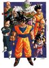 Dragon Ball Z