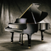 Steinway GP-215