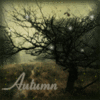 Новый альбом группы autumn Rain Melancholy