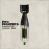 Foo Fighters - "Echoes, Silence, Patience & Grace"