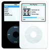 APPLE iPod Video 80 Gb