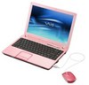 Sony VAIO VGN-CR21SR/P pink