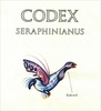 Копия книги Codex Seraphinianus