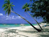 Острова с белопесчаными пляжами, голубым и кристально-прозрачным морем и пальмами *_*