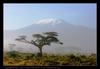 Поехать в Танзанию на Килиманджаро