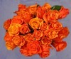 оранжевые розы