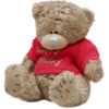 Hallmark teddy)