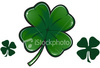 Символика Ирландии - значок shamrock в частности