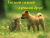 Хочу лето