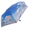 голубой зонт с облаками